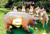 cdmp-inaporc